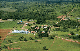 原料產地:久司酵素原液生產基地-ANEW 巴西農場