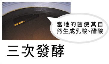 久司巴西酵素發酵過程6.三次發酵，當地的菌使其自然生成乳酸、醋酸