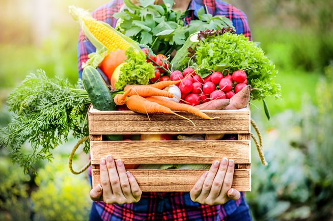 久司酵素原料取自於巴西純淨保護區所出產的80多種天然蔬果